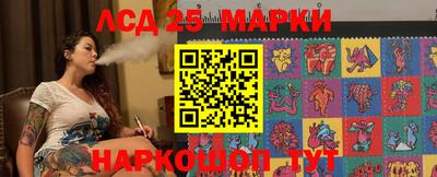 гашик Кулебаки
