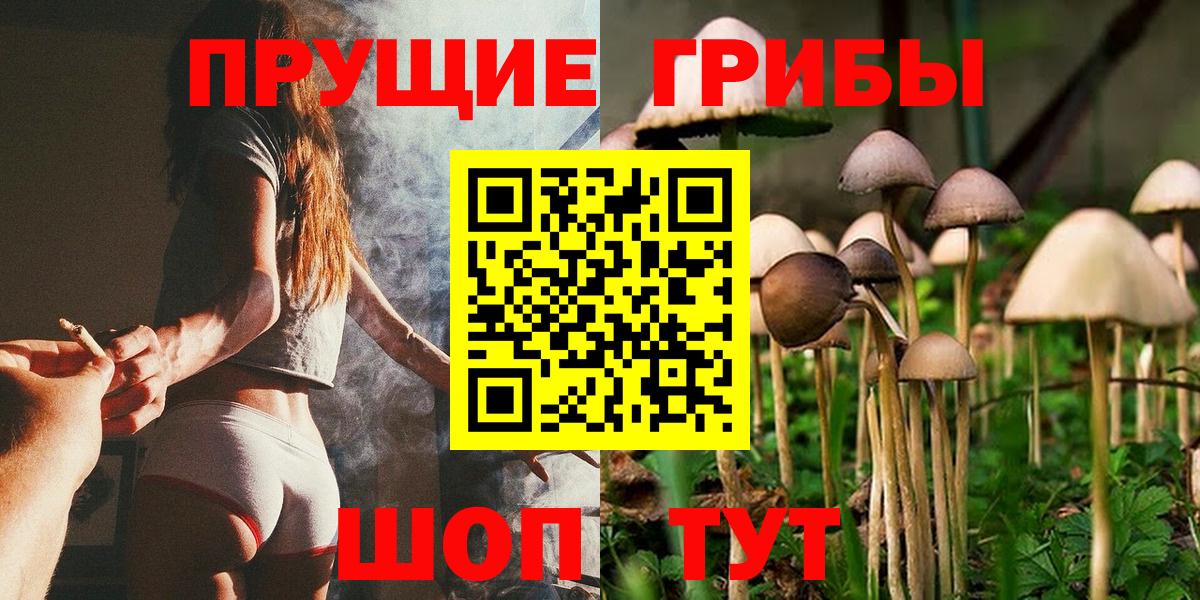 Псилоцибиновые грибы Cubensis Камень-на-Оби