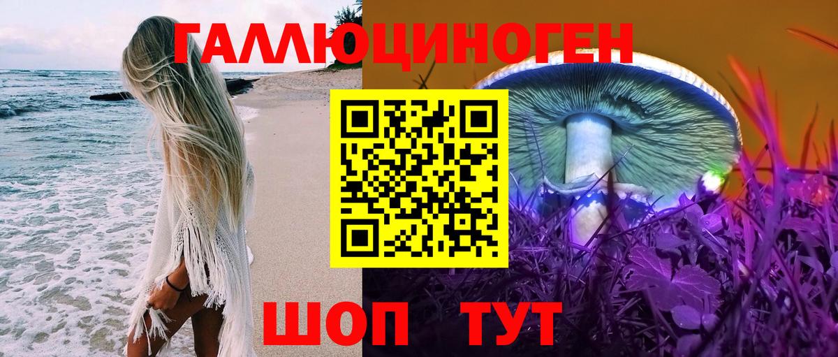 Псилоцибиновые грибы MAGIC MUSHROOMS  Вход с VPN  Камень-на-Оби 